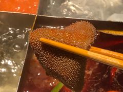 -海底捞火锅(泉城路店)