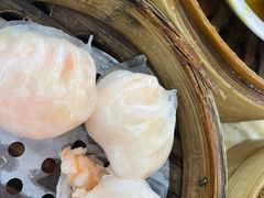 -宝塘茶楼
