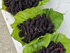 -丝绸小镇荻港古村