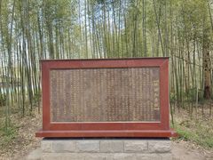 -黄海国家森林公园