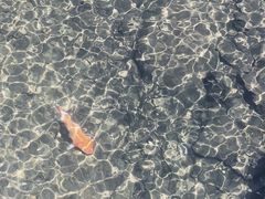 -宁波五龙潭景区