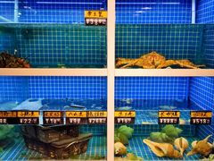 水产区-金龙·打边炉(南京西路店)