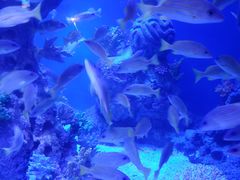 -成都浩海立方海洋公园