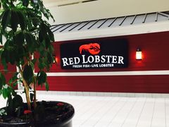 -RED LOBSTER(多伦多DT店)
