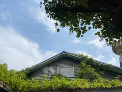 -南湖梦幻岛
