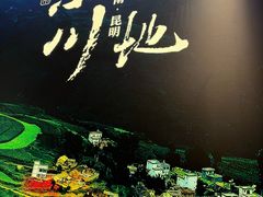 -云海肴·汽锅鸡·云南代表菜(丁香国际店)