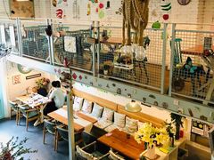大堂-Kitchen·Y洋厨房西餐厅(王府壹号店)