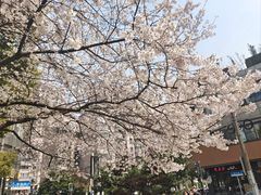 -玛格萝妮比萨屋(四平店)