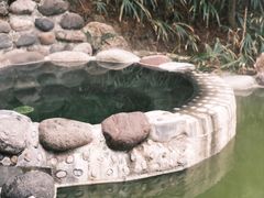 -花水湾第一村温泉大酒店