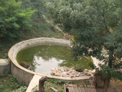 -石家庄市动物园