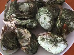 -南蚝小贝海鲜特色餐厅(南澳岛店)