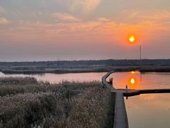 -盐城丹顶鹤湿地生态旅游区