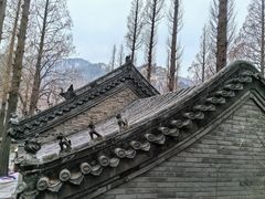 -崂山九水游览区