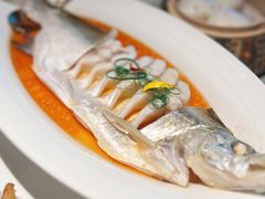 -醉庐·新上海菜(南京西路店)