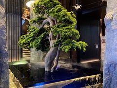 -御养源·影院式足道·按摩SPA·星级自助餐(青秀店)