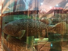 -金翠皇宫粤菜·点心·海鲜(科技园店)