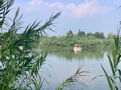 -沙家浜风景区