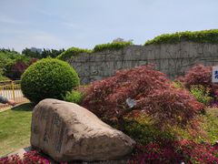 -嘉定紫藤园