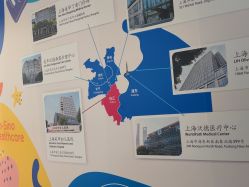 -上海美华妇儿医院
