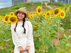 -光明小镇欢乐田园