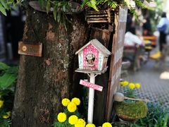 -清迈女子监狱马杀鸡(无分店)