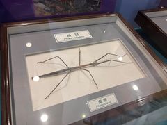 -上海昆虫博物馆