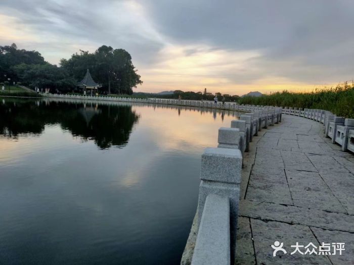 松山湖南湖湾露营营地图片