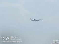 -宝安西湾红树林湿地公园