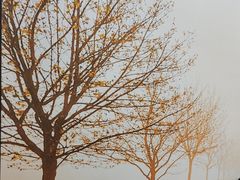 -香山湖家家宴(中山陵店)