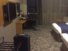 -北京民族园葉子里酒店(鸟巢店)