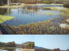 -长广溪湿地公园