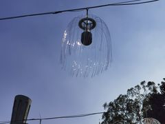 -凤凰山海港乐园