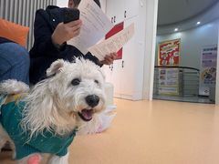 -全心全意动物诊疗中心医院(北苑店)