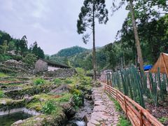 -MOJ coffee(瓯海泽雅水碓坑店)