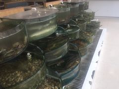 -蓝珊甄选海鲜自助·火锅大排档(近阿那亚店)