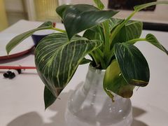 -天府掌柜(九眼桥店)