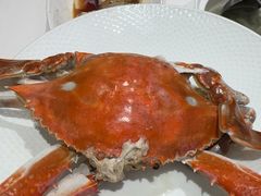 -高佳庄·海鲜酒楼(定海店)