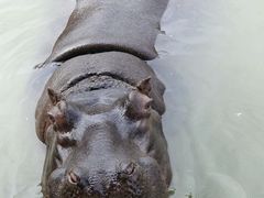 -杭州野生动物世界