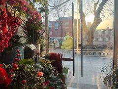 -FEI FEI FLOWER鲜花店·气球派对·宝宝宴布置(虹口德必运动Loft店)