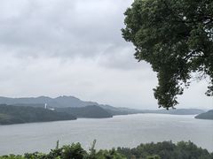 -天乐农家鱼头王(天目湖店)