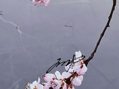 -颐和园