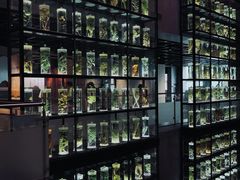 -广东中医药博物馆