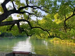 -西溪国家湿地公园