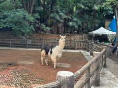 -昆明动物园