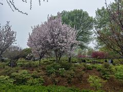 -洛阳市隋唐城遗址植物园