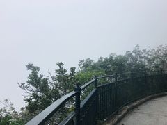 -香港大学