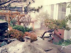 -顺景温泉
