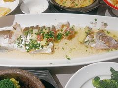 -宋园·金宴浙鲜馆(静安店)