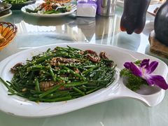 -八仔大富楼·河鲜(西江店)