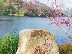 -重庆彩云湖湿地公园